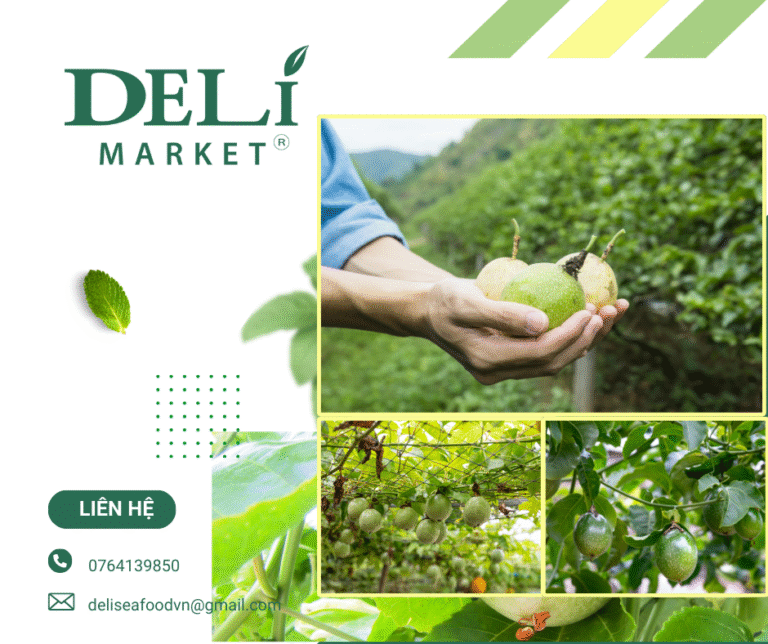 Chanh dây múc dịch Delimarket đạt giá trị cao cấp