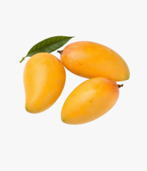 Xoài Cát Hoà Lộc
