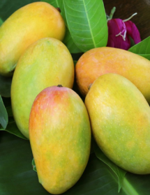 Xoài Sấy Dẻo Cao Cấp
