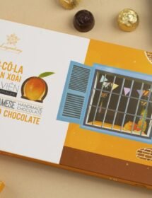 Zoom Vietnam - Socola Xoài 18 Viên